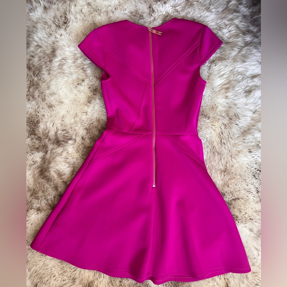 Ted Baker Skater Dress - Picture 5 of 6